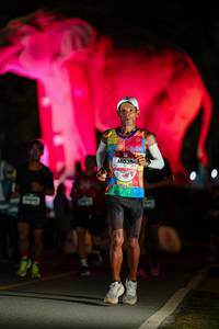 BIB: 
                            <button type="button" onclick="openModal(26533458)" class="btn btn-primary btn-sm float-right btn-popup" data-toggle="modal" data-target=".modal-high-quality">
                        <i class="fas fa-shopping-cart"></i> Add to Cart
                    </button>
                                            <button type="button" onclick="isThisMe(26533458, true)" class="btn btn-success btn-sm float-right btn-popup btn-isme hidden" data-toggle="tooltip" data-placement="bottom" title="นี่คือรูปของคุณใช่ไหม คลิกที่นี่เพื่อเอาเข้าอัลบั้ม">
                        <i class="fas fa-plus"></i> Add to album
                    </button>
                    <button type="button" onclick="isThisMe(26533458, false)" class="btn btn-warning btn-sm float-right btn-popup btn-isnotme hidden">
                        <i class="fas fa-ban"></i> Remove from album
                    </button>